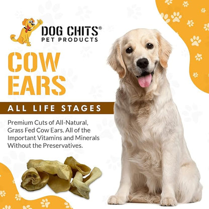 Dog Chits Cow Ears Dog and Puppy Treats - All Natural Grain and Chemical Free Training Chews - High Protein and Low Fat - Supports Dental Health - Made in The USA - 10 Count