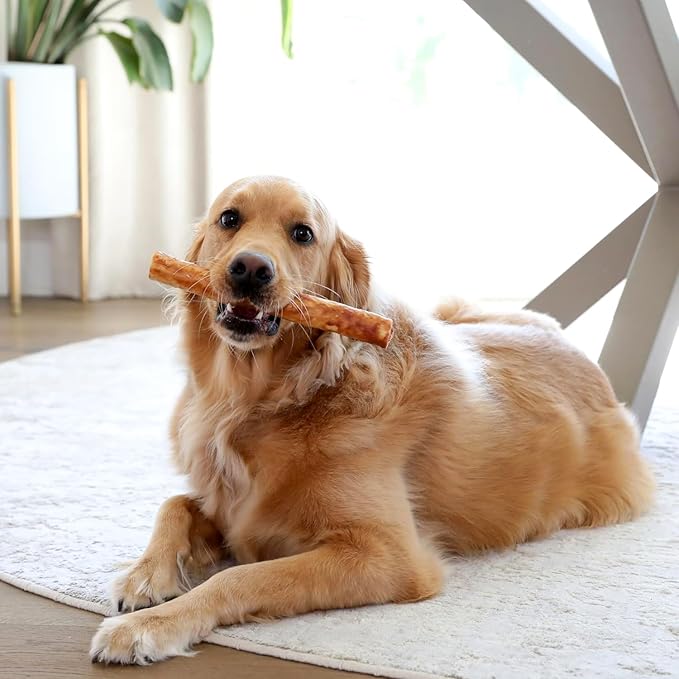RK Collagen Retriever Roll (Real Chicken) 10" - 3ct
