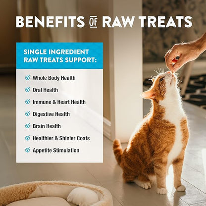 Northwest Naturals Raw Rewards Freeze-Dried Minnow Treats for Dogs and Cats - Bite-Sized Pieces - Healthy, 1 Ingredient, Human Grade Pet Food, All Natural - 1 Oz (Pack of 3)