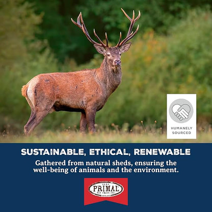 Primal Antlers for Dogs - Grade A Split Moose Antlers for Large Dogs 45-60 lb - Natural Dog Chews for Aggressive Chewers - Naturally Shed Antlers - Long Lasting Dog Bones - 1 ct