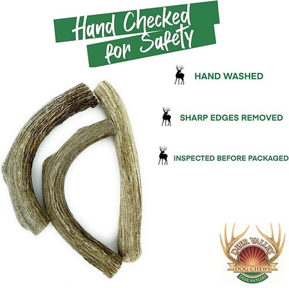 Deer Valley Dog Chews (Giant Single, 8-10 Inches) Sustainably-Sourced Deer Antler for Extra Large Dog Breeds - Durable Dog Chew Bone for Aggressive Chewers