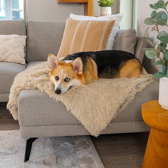 Best Friends by Sheri Calming Shag Dog Blanket, Taupe, 30" x 40"