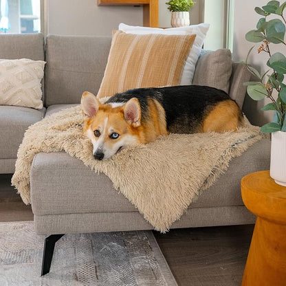 Best Friends by Sheri Calming Shag Dog Blanket, Taupe, 30" x 40"