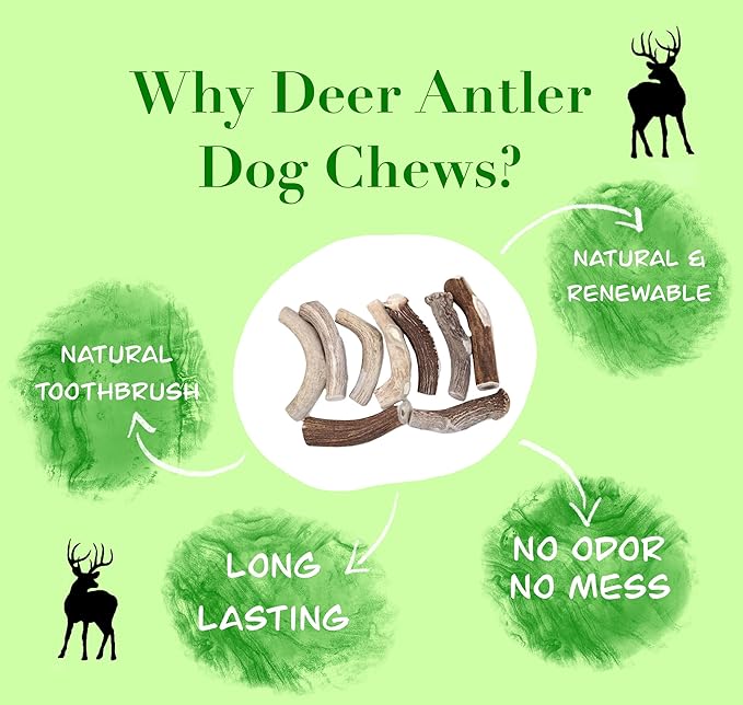 Deer Valley Dog Chews (Giant Single, 8-10 Inches) Sustainably-Sourced Deer Antler for Extra Large Dog Breeds - Durable Dog Chew Bone for Aggressive Chewers