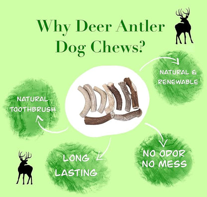 Deer Valley Dog Chews (Giant Single, 8-10 Inches) Sustainably-Sourced Deer Antler for Extra Large Dog Breeds - Durable Dog Chew Bone for Aggressive Chewers