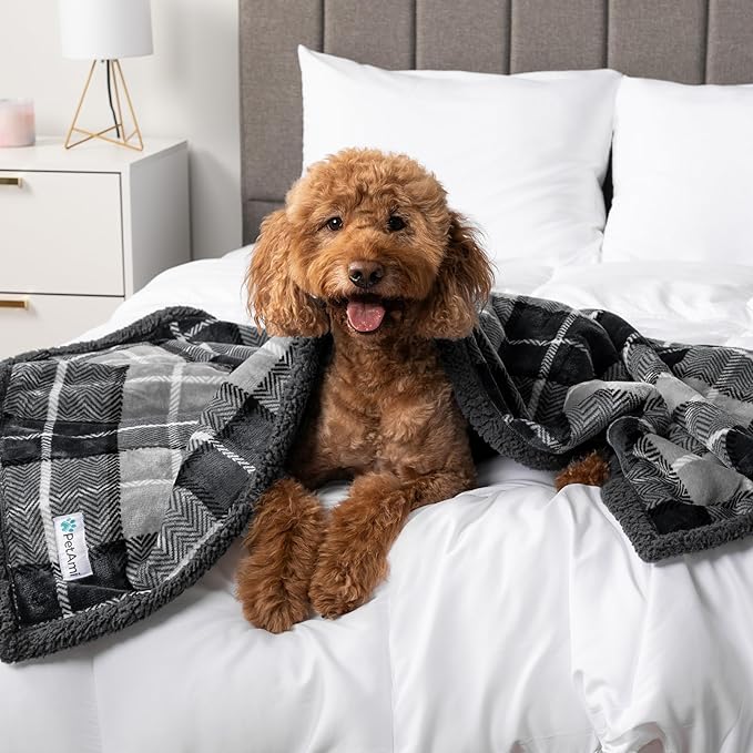 PetAmi Waterproof Dog Blanket for Small Medium Dog, Pet Puppy Blanket Couch Cover Protection Sherpa Fleece Cat Blanket Couch Sofa Bed Furniture Protector Reversible Soft Washable 29x40 Plaid Charcoal