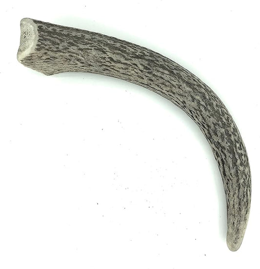 Deer Valley Dog Chews (Giant Single, 8-10 Inches) Sustainably-Sourced Deer Antler for Extra Large Dog Breeds - Durable Dog Chew Bone for Aggressive Chewers