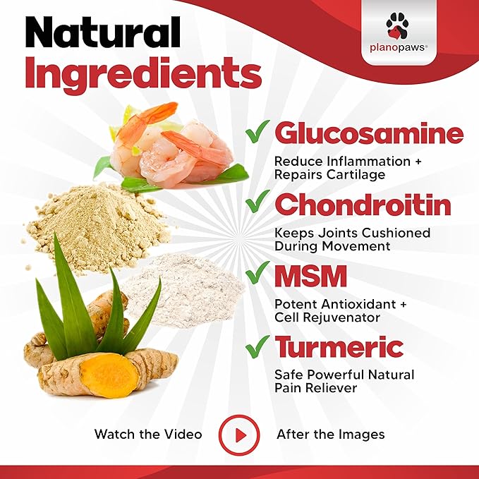 Glucosamine for Dogs Hip and Joint Supplement - Safe Joint Support for Dogs - Dog Joint Supplement with Glucosamine Chondroitin MSM Turmeric - 120 Joint Care Chews for Dogs ActivTreats