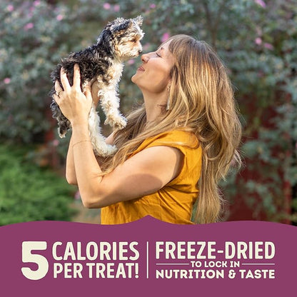 ACANA Singles Freeze Dried Dog Treats, Limited Ingredient Grain Free Lamb & Apple Recipe, 1.25oz