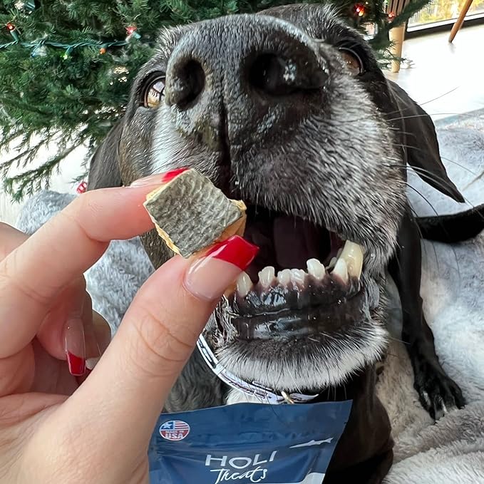 HOLI Freeze Dried Salmon Dog Treats - with Omega 3 and 6 Fish Oil - All Natural - Human Grade - Wild Caught Salmon with Skin - Made in USA - Grain Free - Diabetic Friendly