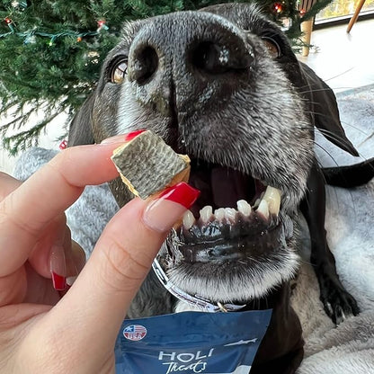 HOLI Freeze Dried Salmon Dog Treats - with Omega 3 and 6 Fish Oil - All Natural - Human Grade - Wild Caught Salmon with Skin - Made in USA - Grain Free - Diabetic Friendly
