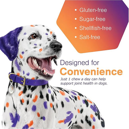 Joint Support Supplement for Small Dogs - Hip and Joint Support - Dog Joint Supplement - Hip and Joint Supplement Dogs - 60 Soft Chews (by Virbac)