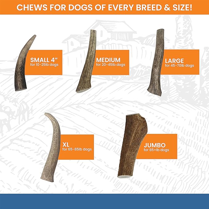 Elk Antlers for Dogs - Made in USA, Natural, Long-Lasting Dog Antler Chews - Split Antlers for Aggressive Chewers - Deer Antler Chew Bones for Small, Medium, Large & Extra Big Dogs
