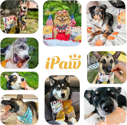 Dog Treats for Puppy Training, All Natural Human Grade Dog Treat, Hypoallergenic, Easy to Digest (Chicken Chips), 2 Packs