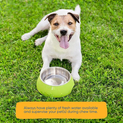 Dog Bone Knee Caps - 100% Natural & Long Lasting Beef Chews Beef Chew Treats for Pets - Ideal for Small to Large Dogs (30 Count - Made in USA)