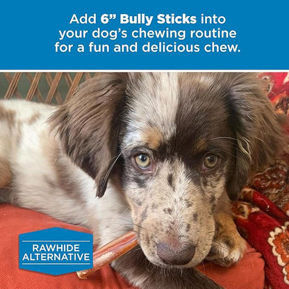 Best Bully Sticks 6 Inch All-Natural Bully Sticks for Dogs - 6” Easily Digestible, 100% Grass-Fed Beef, Grain and Rawhide Free | 50 Pack