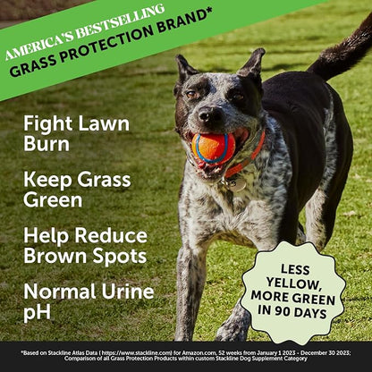 Pet Honesty Grass Green - Pee Grass Spot Saver Caused by Dog Urine, Gut Health Probiotics, Dog Urine Neutralizer for Lawn, Grass Burn Spot Chews, Cranberry, Apple Cider Vinegar, Dog Rock (Turkey 90ct)