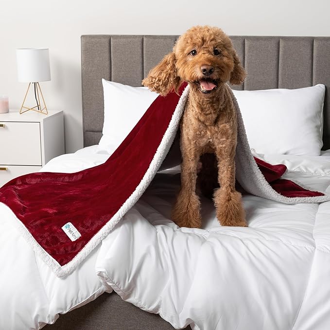 PetAmi Waterproof Dog Blanket For Small Medium Dog, Pet Puppy Blanket Couch Cover Protection, Sherpa Fleece Cat Blanket Washable Throw Couch Sofa Bed Furniture Protector Reversible Soft 29x40 Wine Red