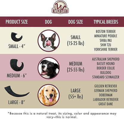 Water Buffalo Horn No Hide Dog Bones & Dog Chews (All Natural, Single Source Protein, GrainFree Dog Treat, Long Lasting Dog Chews & Dog Bones for Aggressive Chewers) 4 Pack, Medium-Horn