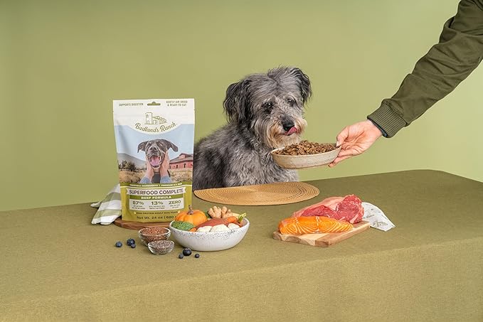 Superfood Complete, Air-Dried Adult Dog Food - High Protein, Zero Fillers, Superfood Nutrition by Katherine Heigl (11.5 oz., Beef Formula)