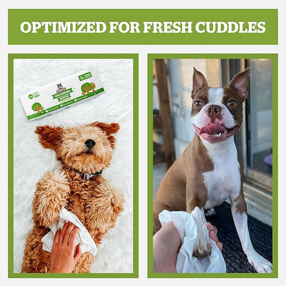 Pogi’s Dog Wipes Travel Packs – Hypoallergenic Pet Wipes for Paws, Body & Butt – Cleaning & Hydrating, Fragrance Free, 120-Count