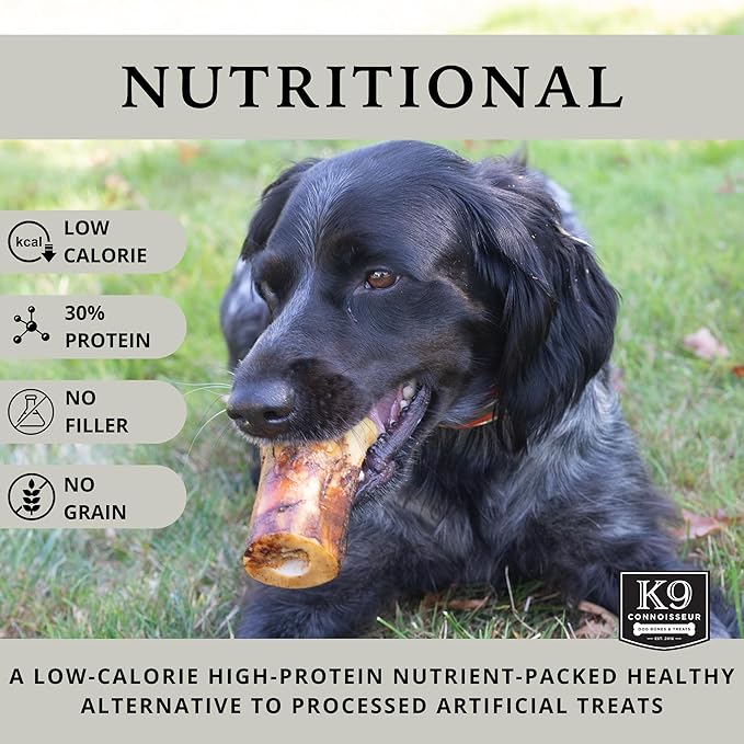 K9 Connoisseur Natural Dog Bones for Dogs Long Lasting & Large Dog Bones for Aggressive Chewers Breeds- Knuckle Bone Marrow Dog Bones Rawhide Free Dog Treats for Medium Dogs Made in USA Only (3 Pack)