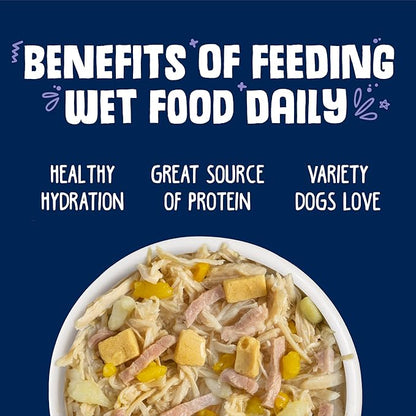 Weruva Classic Dog Food, Bed & Breakfast with Chicken, Egg, Pumpkin & Ham in Gravy, 5.5oz Can (Pack of 24), Blue