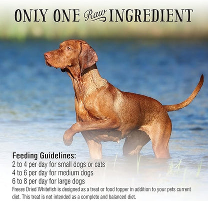 Northwest Naturals Raw Rewards Freeze-Dried Whitefish Treats for Dogs and Cats - Bite-Sized Pieces - Healthy, 1 Ingredient, Human Grade Pet Food, All Natural - 2.5 Oz (Pack of 3)