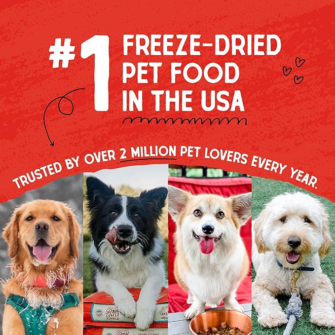 Stella & Chewy's Freeze Dried Raw Super Beef Meal Mixer – Dog Food Topper for Small & Large Breeds – Grain Free, Protein Rich Recipe – 1 oz Bag