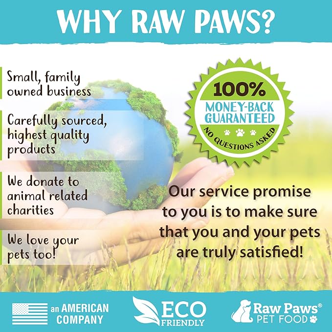Raw Paws Mini Bones for Dogs - Sweet Potato & Honey Recipe, 10-oz - Made in USA Mini Dog Biscuits, Small Training Treats for Dogs - Wheat, Corn, Soy Free Crunchy Dog Treats, Mini Bones for Dogs