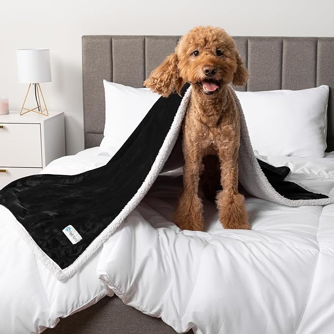 PetAmi Waterproof Dog Blanket for Small Medium Dog, Pet Puppy Blanket Couch Cover Protection, Sherpa Fleece Cat Blanket Washable Throw Couch Sofa Bed Furniture Protector Reversible Soft 29x40 Black