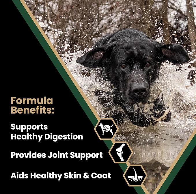 VICTOR Super Premium Dog Food – Performance Dry Dog Food – 26% Protein for Active Adult Dogs – Includes Glucosamine and Chondroitin for Hip and Joint Health, 5lbs