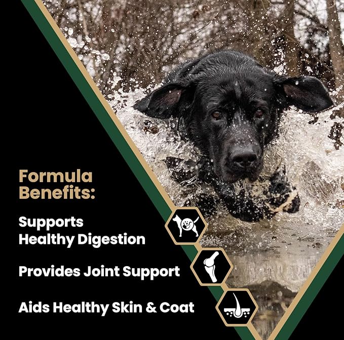 Victor Super Premium Dog Food – Performance Dry Dog Food – 26% Protein for Active Adult Dogs – Includes Glucosamine and Chondroitin for Hip and Joint Health, 40lbs