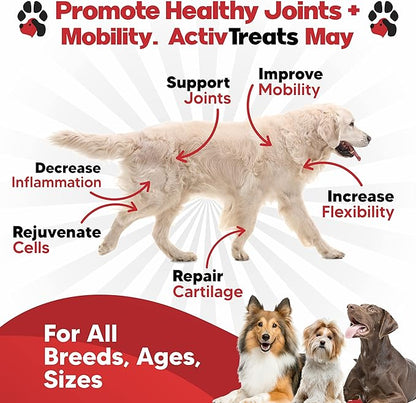 Glucosamine for Dogs Hip and Joint Supplement - Safe Joint Support for Dogs - Dog Joint Supplement with Glucosamine Chondroitin MSM Turmeric - 120 Joint Care Chews for Dogs ActivTreats