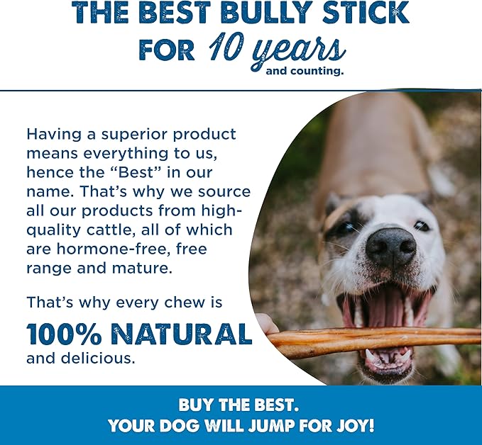 Best Bully Sticks 6 Inch Jumbo Bully Sticks for Large Dogs - 100% Natural, Grass-Fed Beef - Single Ingredient Grain and Rawhide Free Bully Stick Dog Chews | 12 Pack