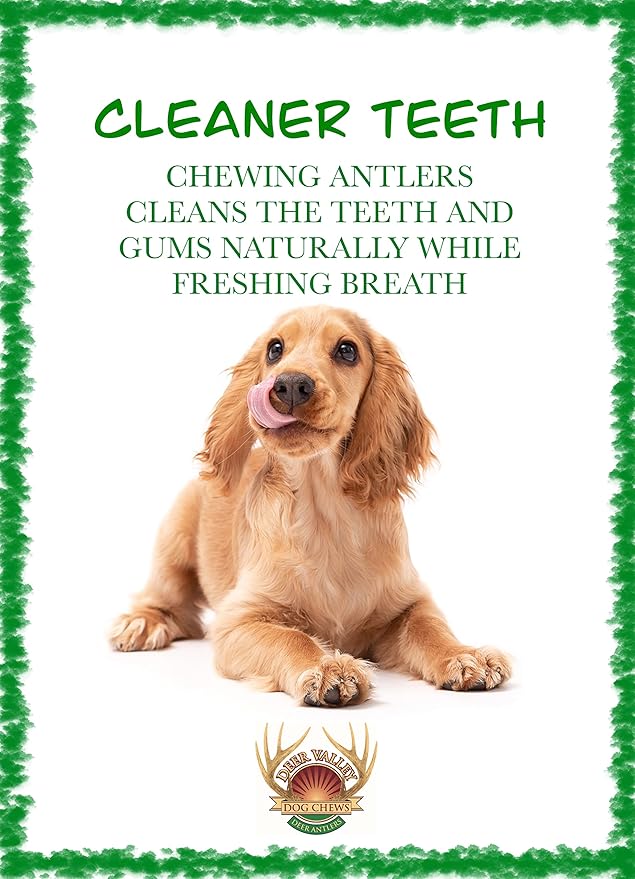 Deer Valley Dog Chews (Giant Single, 8-10 Inches) Sustainably-Sourced Deer Antler for Extra Large Dog Breeds - Durable Dog Chew Bone for Aggressive Chewers