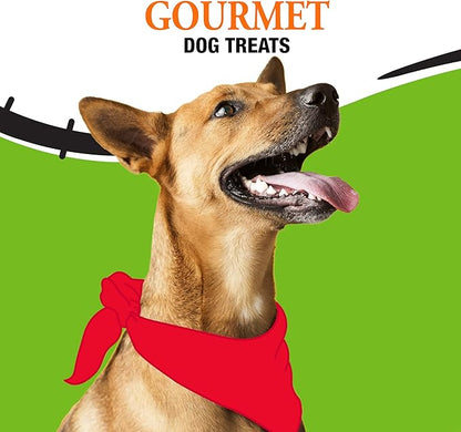 Good 'n' Fun FrankenBones with Chicken, 2 Ounce, Chews with Rawhide for Small Dogs