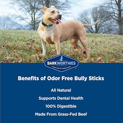 Barkworthies Odor-Free 6-inch Bully Sticks (5 Pack) - Healthy Dog Chews - Protein-Packed, Easily digestible, All-Natural Rawhide Alternative Dog Treats - Promotes Dental Health