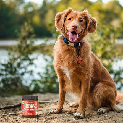 Visionary Pet Foods Lamb Meat Spread - Healthy Dog Treat - Alternative to Dog Peanut Butter, Xylitol Free, No Sugar and Filler Free - Use on Dog Lick Mat, Food Mixer, Pill Pockets - 10oz