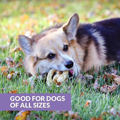 Collagen Chews for Dogs Pretzels (3 Pack, Real Duck) - Highly Digestable and Long Lasting Dog Chew or Treat for All Dog Breeds