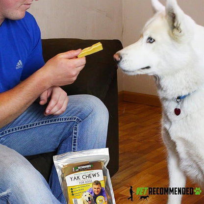 Yak Chew for Small Dogs Made from Himalayan Yak Milk (20 Count / 1.54LB). The 100% Natural Healthy Dog Chew - Extreme Long Lasting Cheese Chew