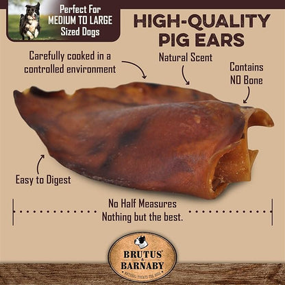 100% Natural Whole Pig Ear Dog Treat - 25 Pack - Our Healthy Dog Pig Ears Are Easy To Digest, Chemical & Hormone Free Thick Cut Pig Ears For Dogs Aggressive Chewers, Great For Small Or Large Dogs