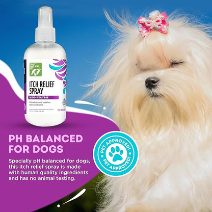 Only Natural Pet Itch Relief Spray with Aloe + Tea Tree for Dogs, Anti Itch Spray for Dogs Allergies to Soothe Dry Irritated Skin and Itchy Skin Relief - 8 oz