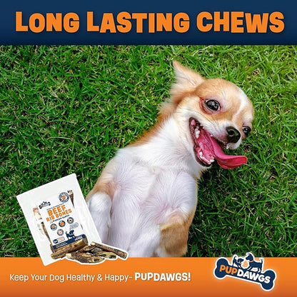 Single Ingredient Dog Bones - Made in USA - Small Beef Rib Bones - Natural Dog Bones for Aggressive Chewers - from USDA Inspected Beef - Hickory Smoked - Wrapped in Sets of 5 (40 Piece Pack)