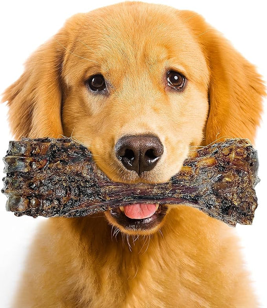 Liver Coated Dog Bones for Aggressive Chewers, Natural Dog Bones for Large Dogs, Beef Shin Large Dog Bones for Medium Dogs, Bones for Dogs Long Lasting, Dog Chew Bones - 1 Count