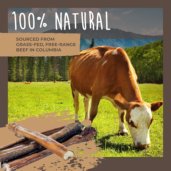 Mighty Paw Naturals Bully Sticks for Dogs (Bully Stick Variety - 10 Pack)