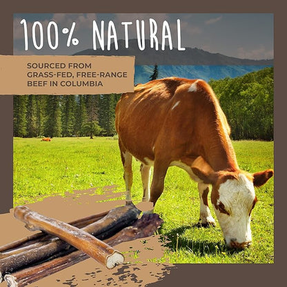 Mighty Paw Naturals Bully Sticks for Dogs (Bully Stick Variety - 10 Pack)