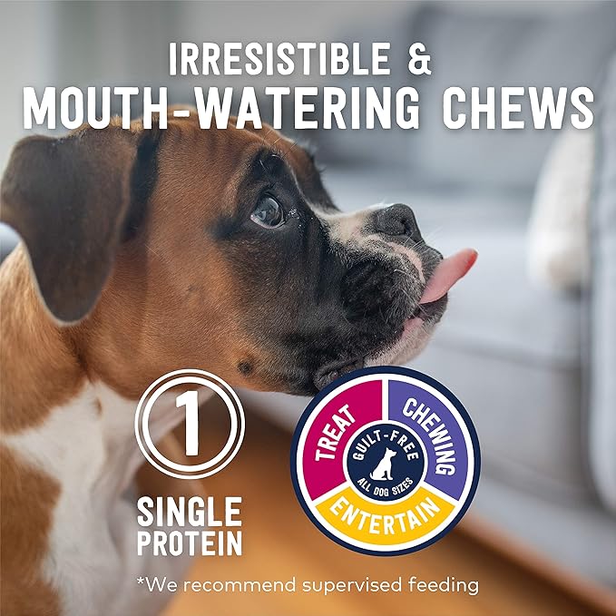 ZIWI Dog Chews and Treats – Lamb Trachea - All Natural, Air-Dried, Single Protein, Grain-free, High-Value Treat, Snack, Reward 2.1 Ounce (Pack of 1)