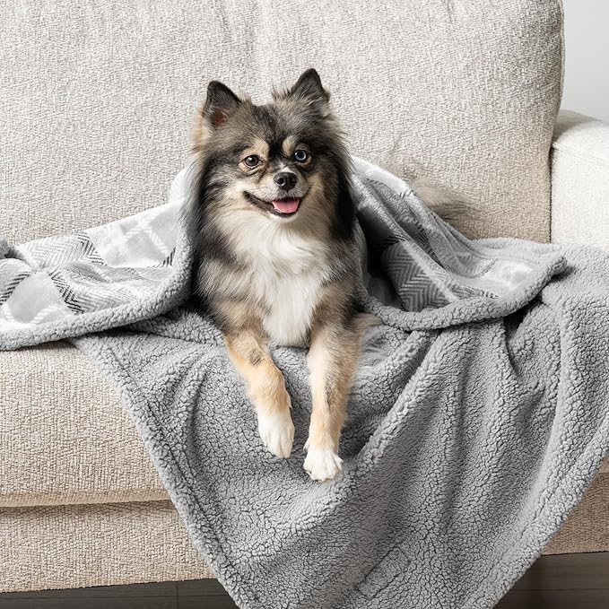 PetAmi Waterproof Dog Blanket for Small Medium Dog, Pet Puppy Blanket Couch Cover Protection, Sherpa Fleece Cat Blanket Sofa Bed Furniture Protector Reversible Soft Washable 29x40 Plaid Light Grey