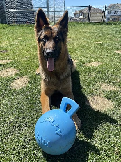 Jolly Pets Tug-n-Toss Heavy Duty Dog Toy Ball with Handle, 8 Inches/Large, Blueberry